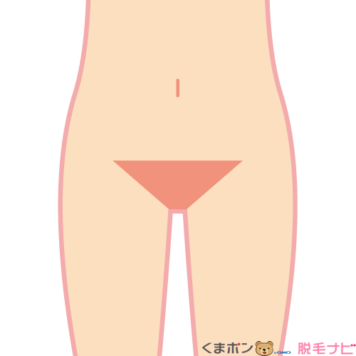 Vライン(デリケートゾーンの上の部分)